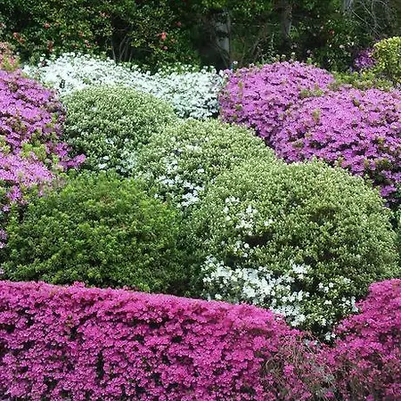 Appartement Residenza Del Pascià - Camphora *