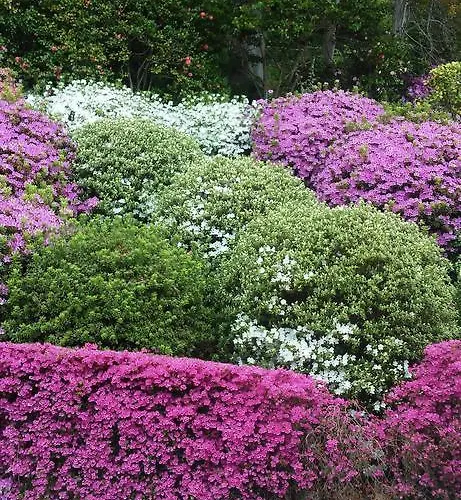 דירה Residenza Del Pascia - Camphora *